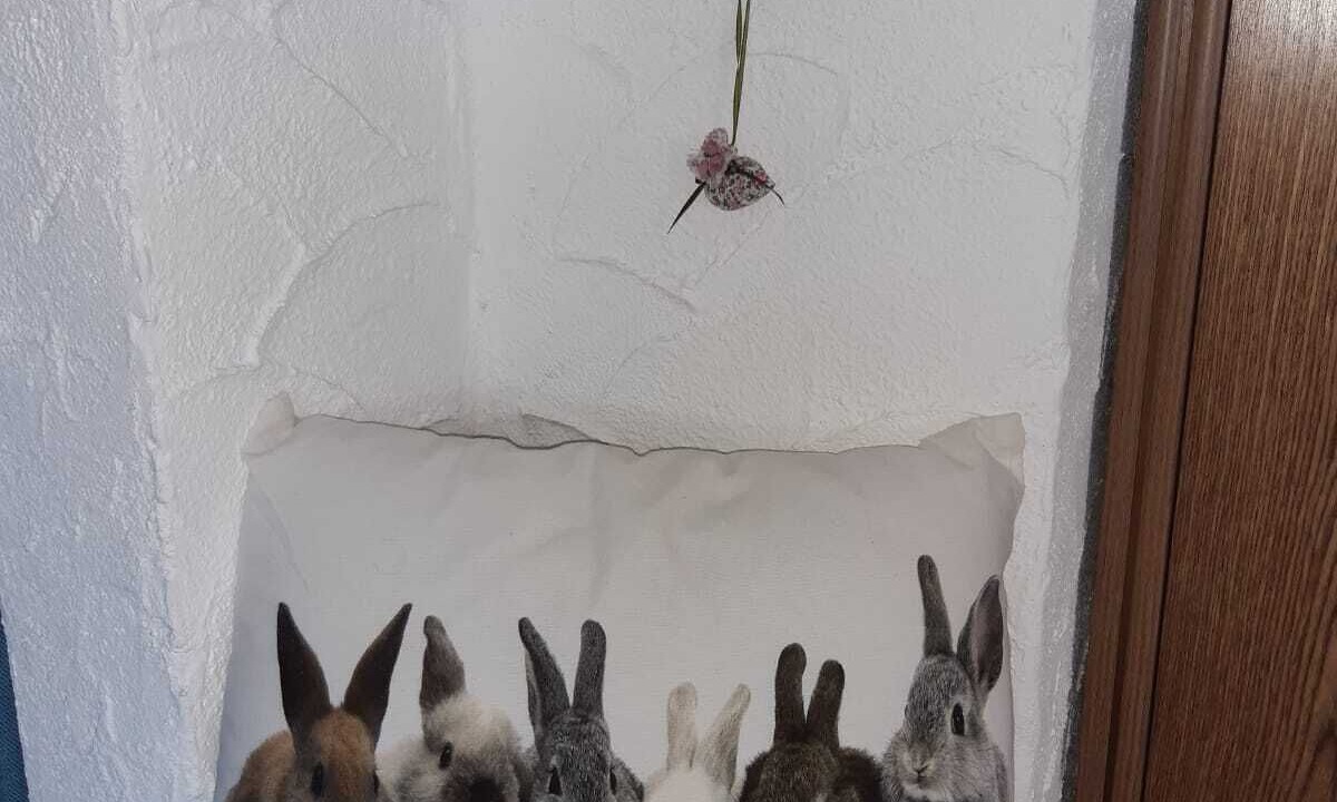 Photo of Others in Oberstdorf