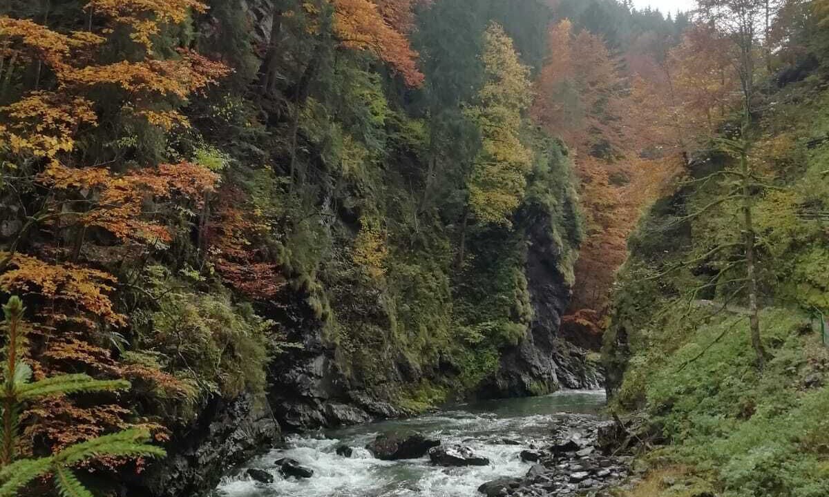 Photo of Outdoor in Oberstdorf