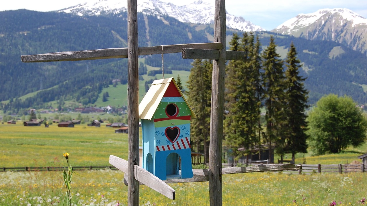 Photo of Others in Ehrwald
