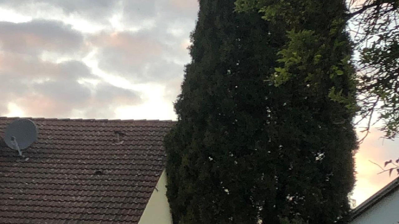 Photo of Outdoor in Altdorf bei Nuernberg