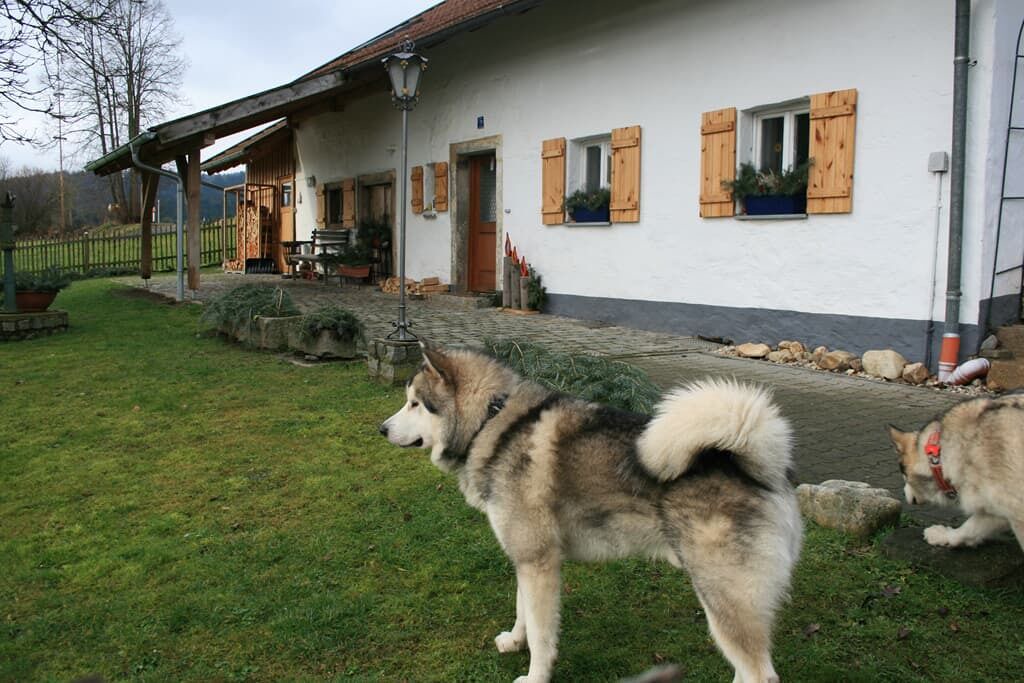 Photo of Outdoor in Blaibach
