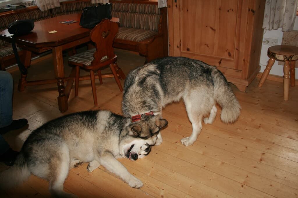 Photo of Others in Blaibach