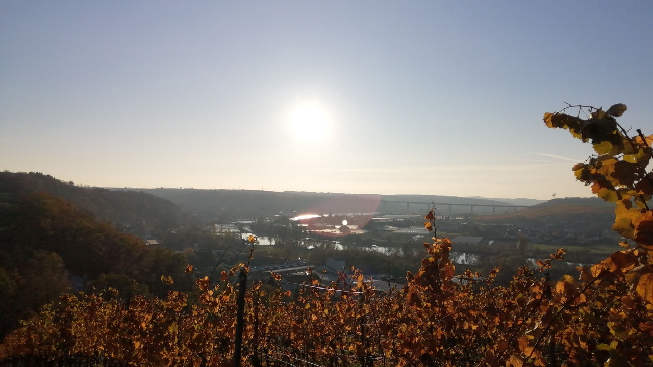 Photo of Others in Segnitz