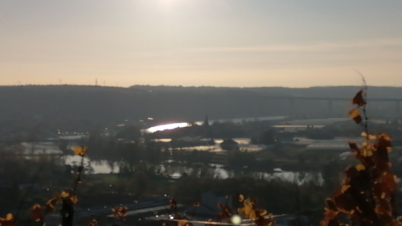 Photo of Others in Segnitz