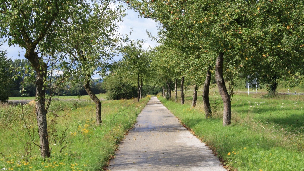 Photo of Outdoor in Untermerzbach