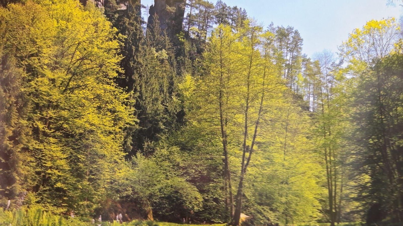 Photo of Outdoor in Lichtenhain