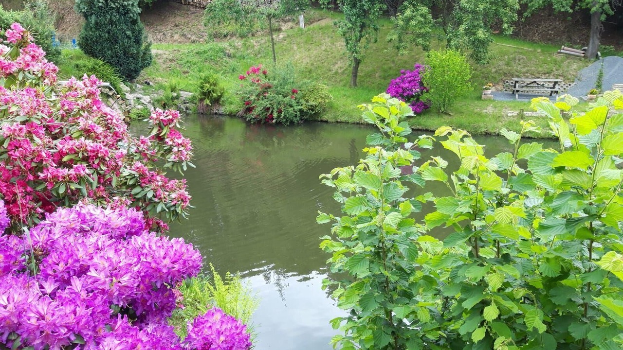 Photo of Outdoor in Lichtenhain