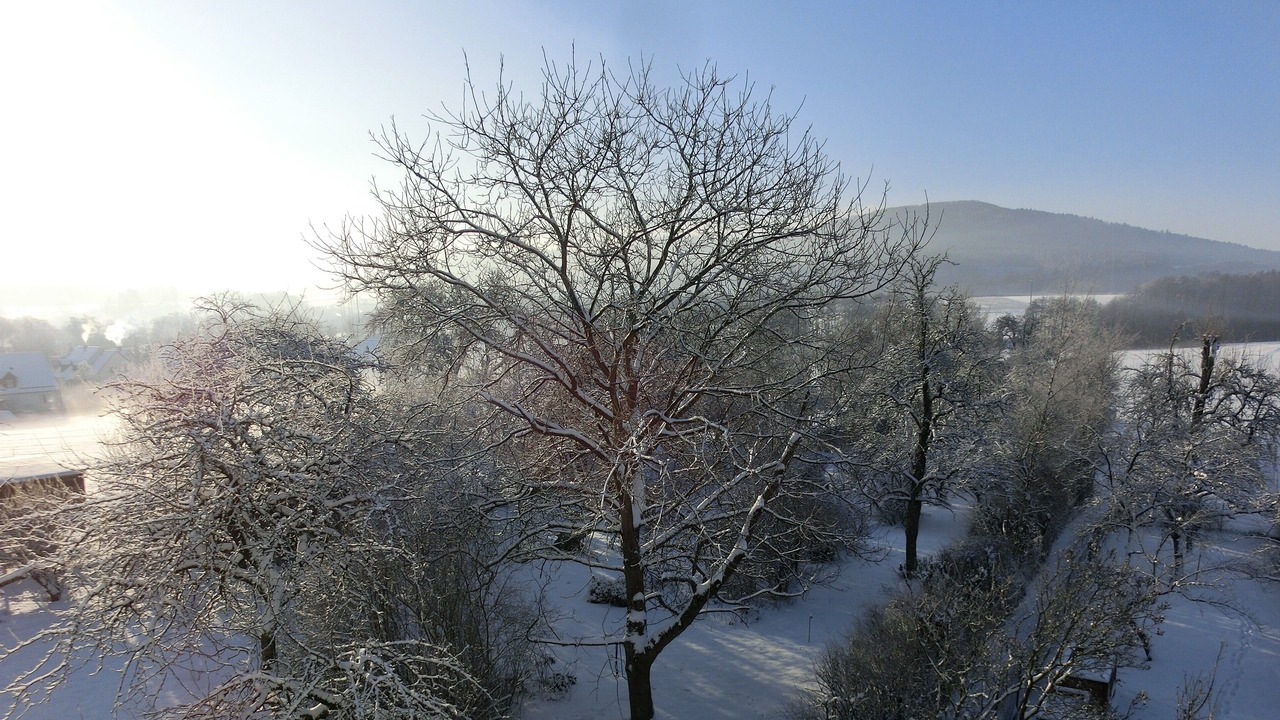 Photo of Others in Lauf an der Pegnitz