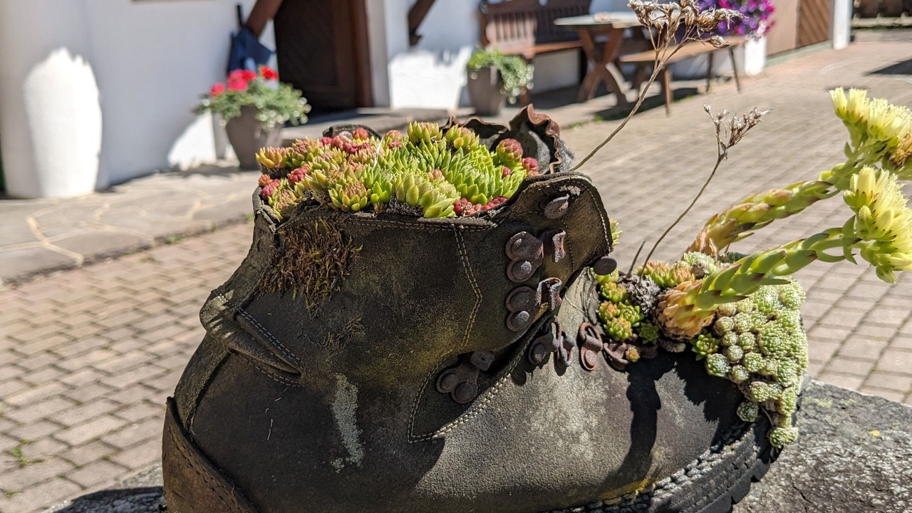 Photo of Outdoor in Grashof