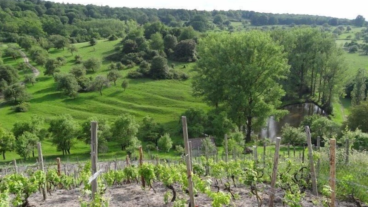 Photo of Others in Ickelheim