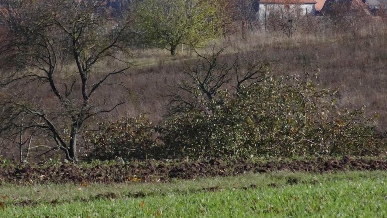 Photo of Outdoor in Ickelheim