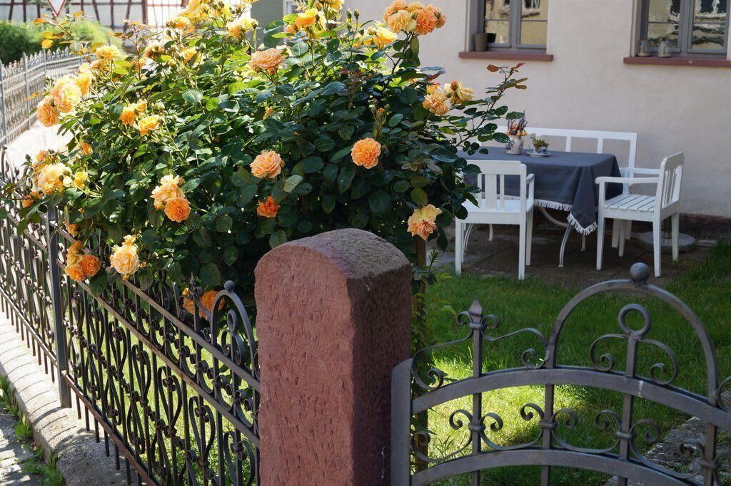 Photo of Outdoor in Ickelheim