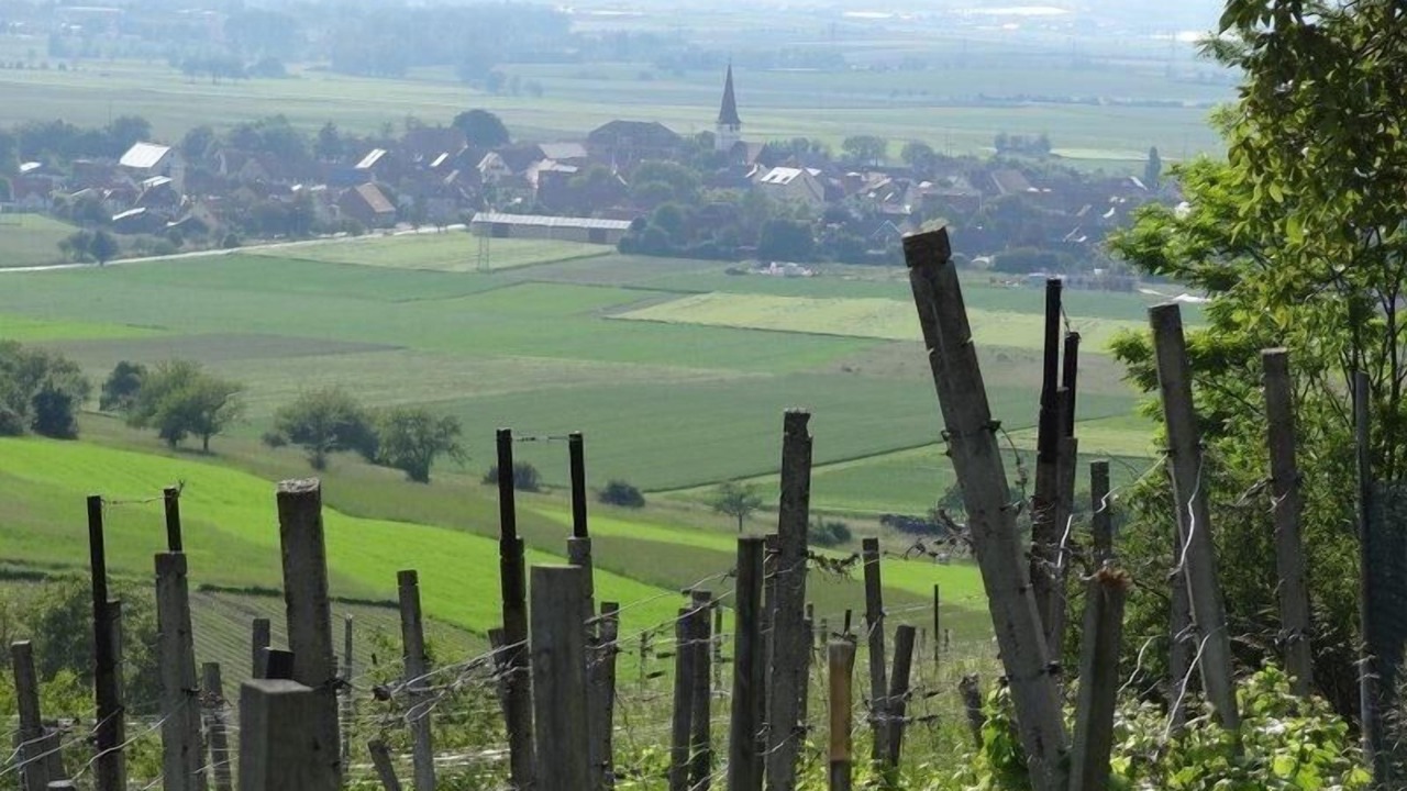 Photo of Outdoor in Ickelheim