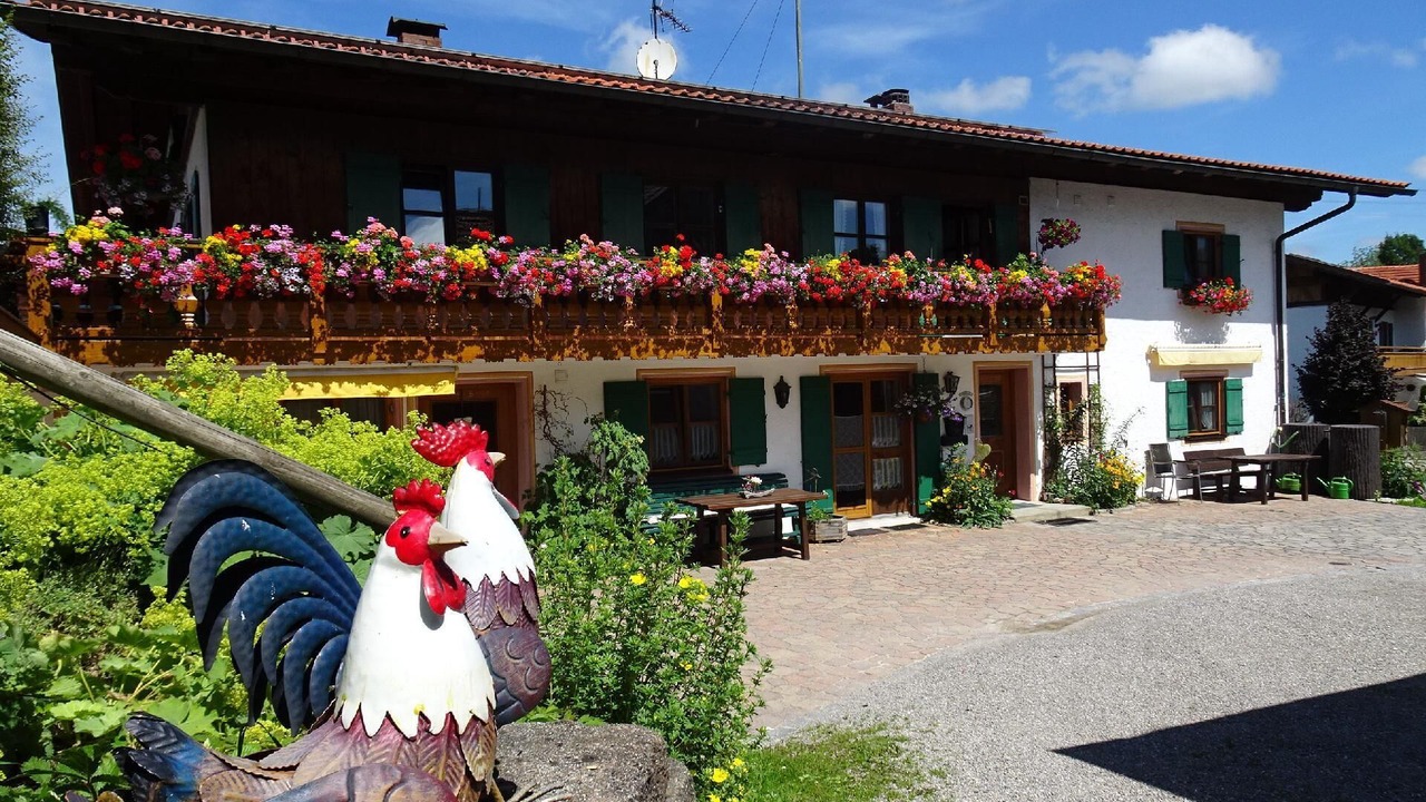 Photo of Others in Bad Bayersoien