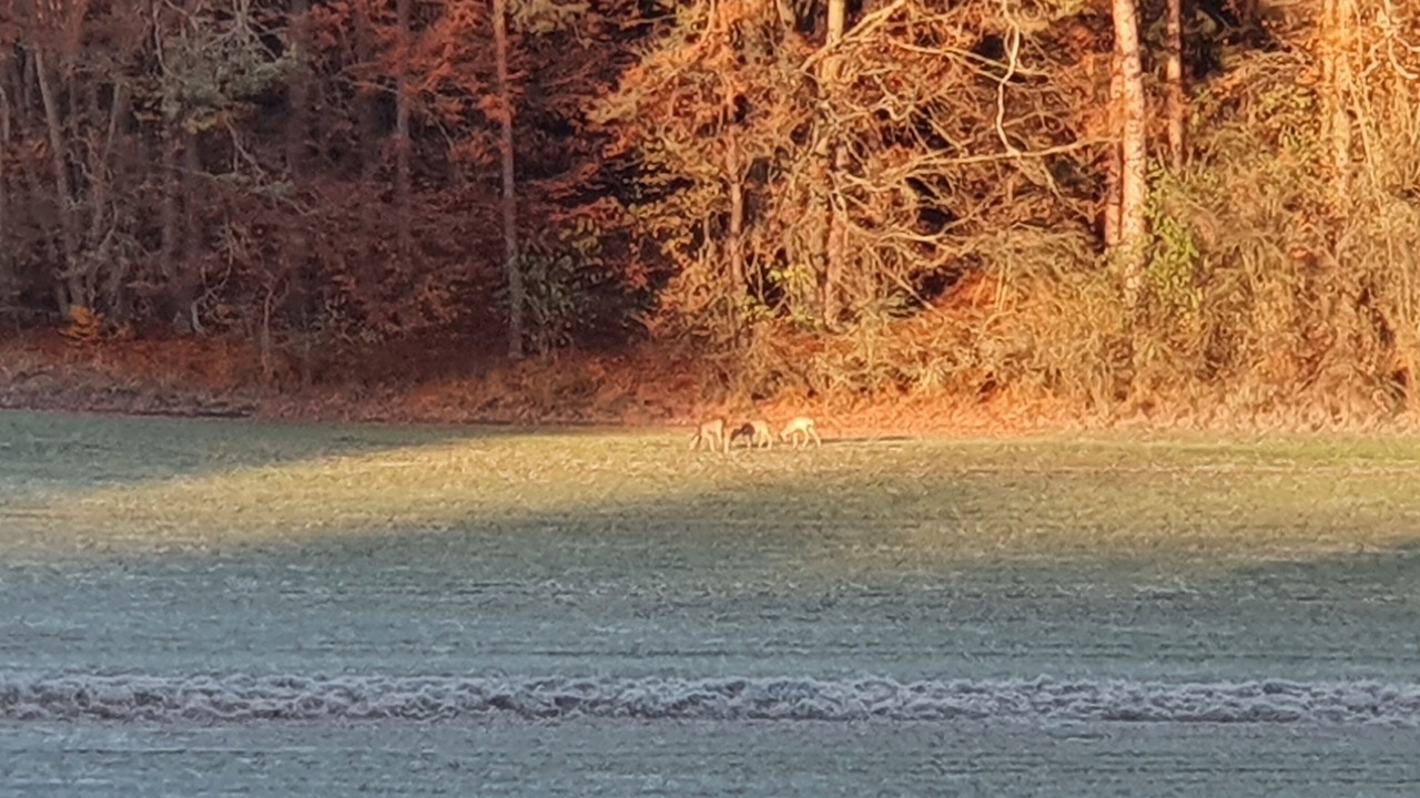 Photo of Others in Pottenstein