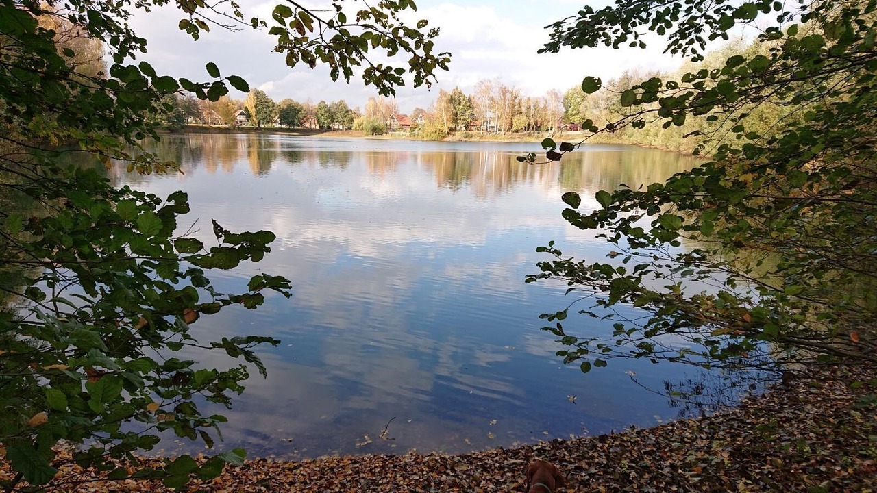 Photo of Outdoor in Warendorf