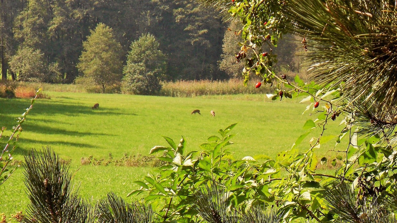 Photo of Others in Breitbrunn a. Chiemsee