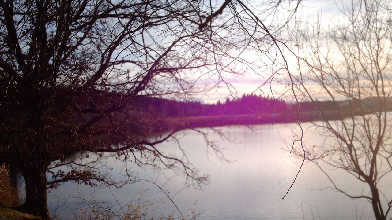 Photo of Others in Starnberg