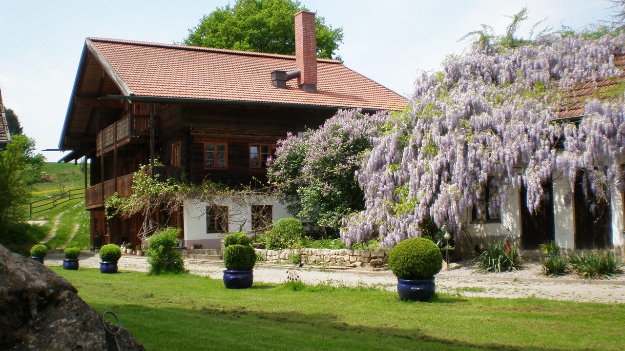 Photo of Outdoor in Egglham