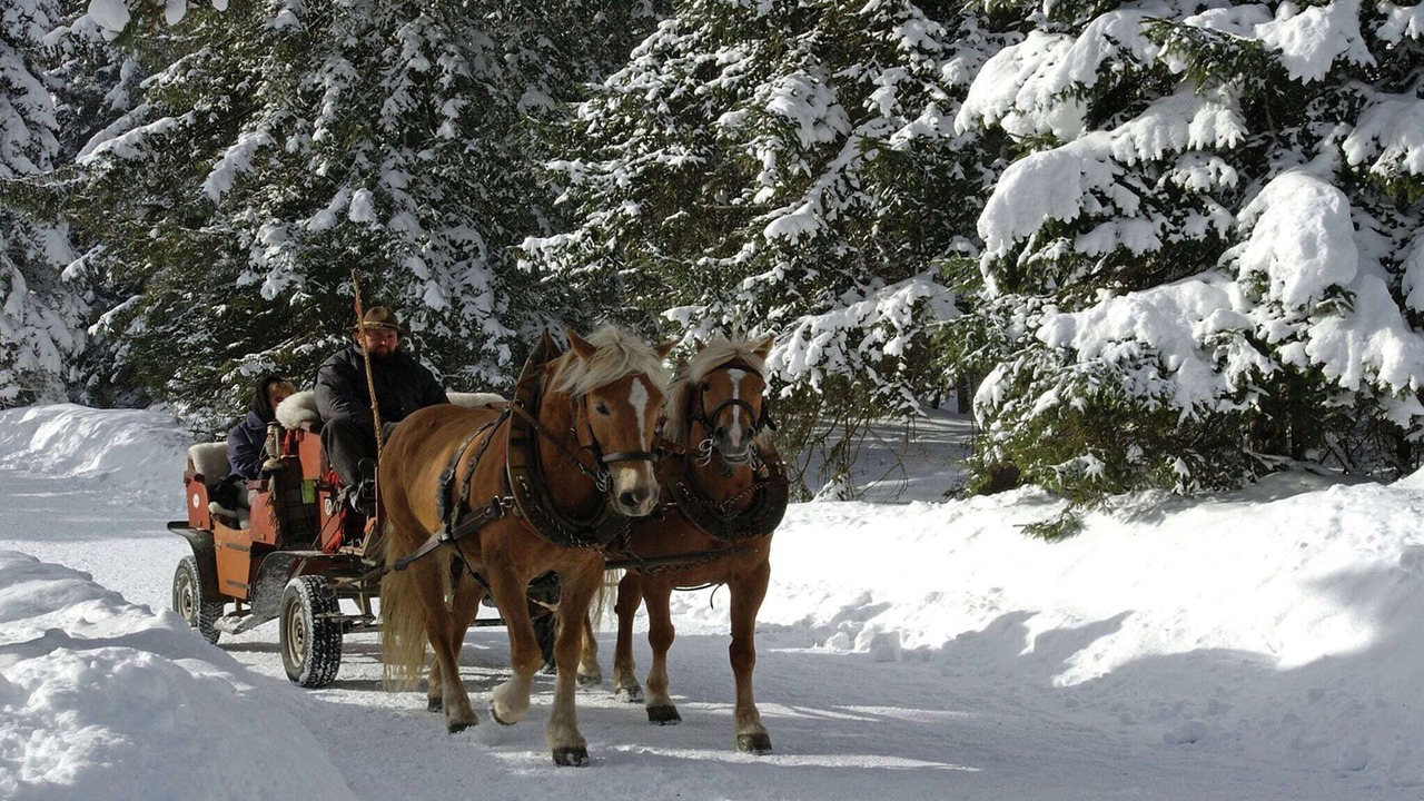 Photo of Others in Seefeld in Tirol