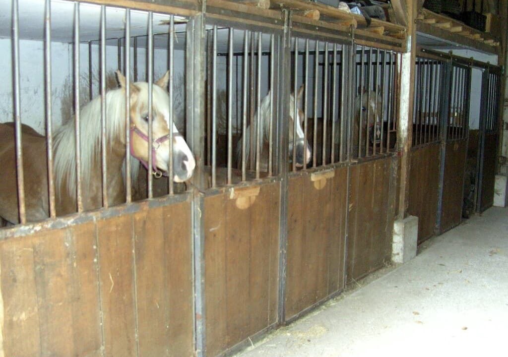 Photo of Outdoor in Moosbach