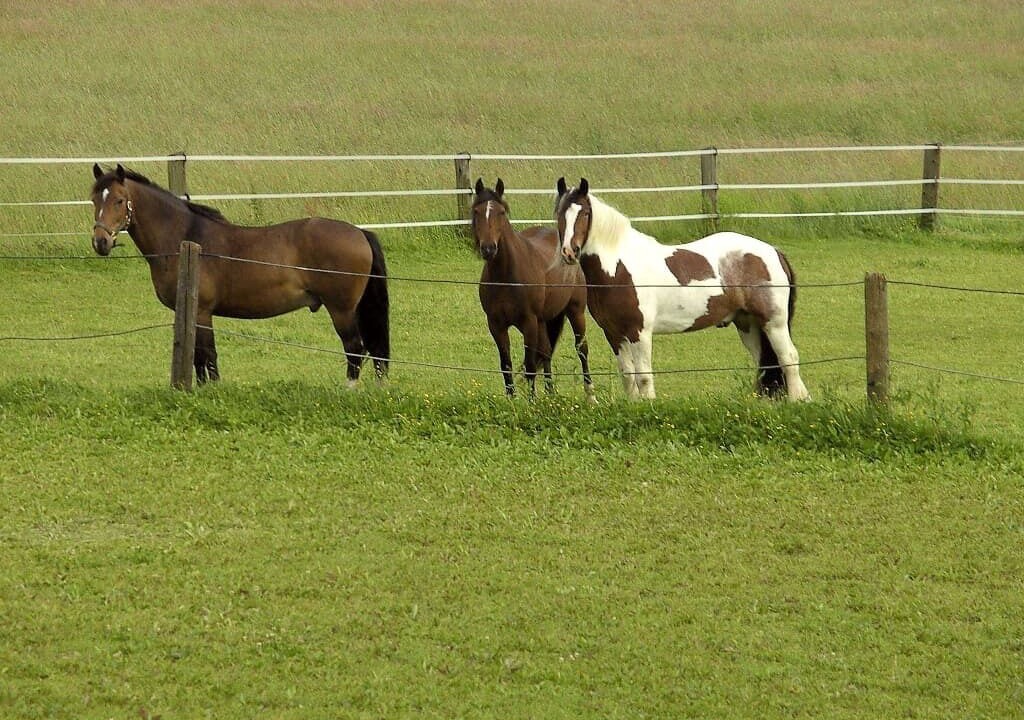 Photo of Others in Moosbach