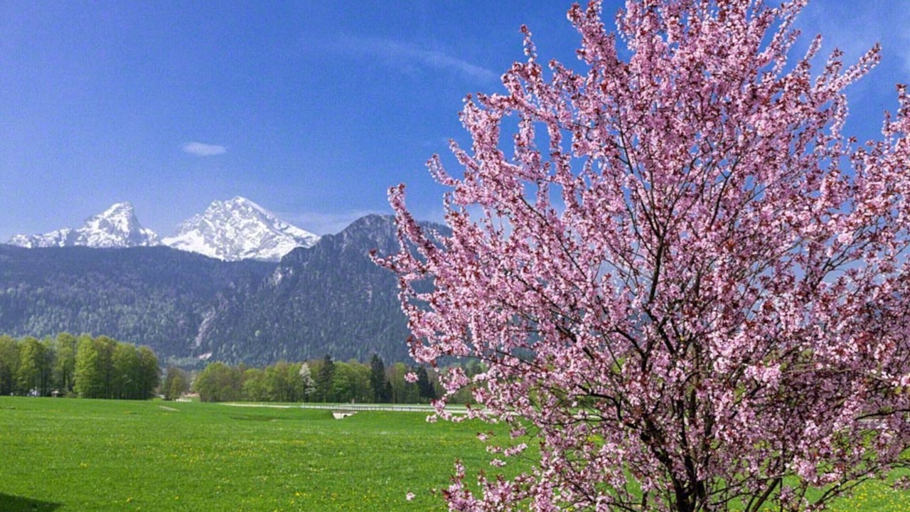 Photo of Outdoor in Schwob