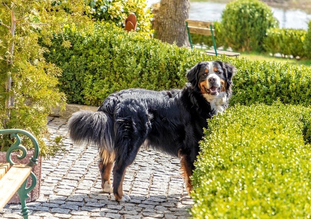 Photo of Outdoor in Burglengenfeld