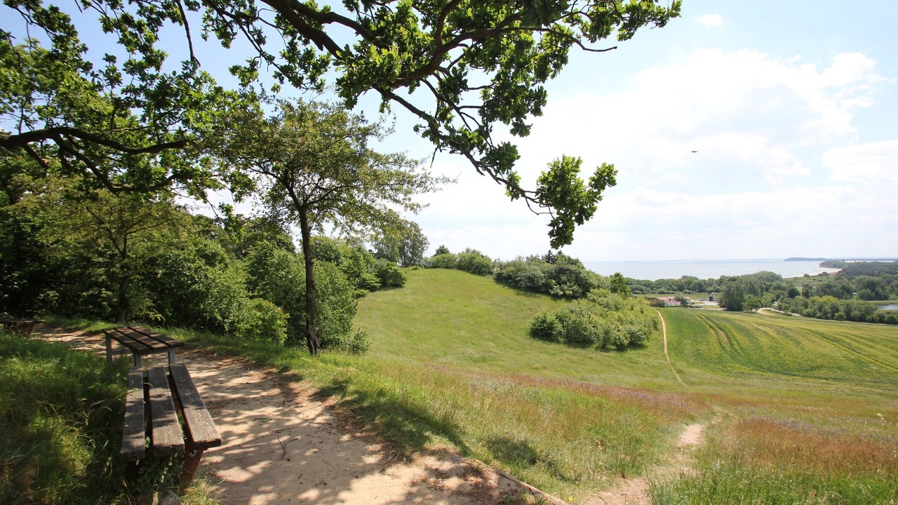 Photo of Others in Gohren