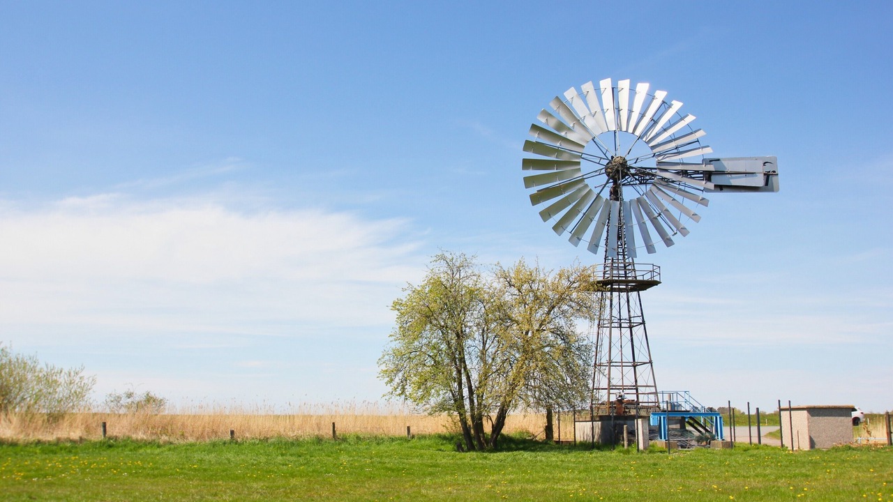 Photo of Others in Gross Zicker
