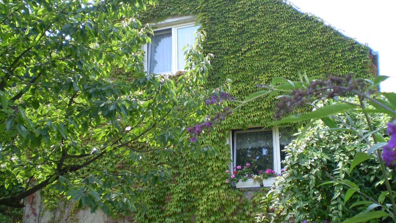 Photo of Outdoor in Neuruppin
