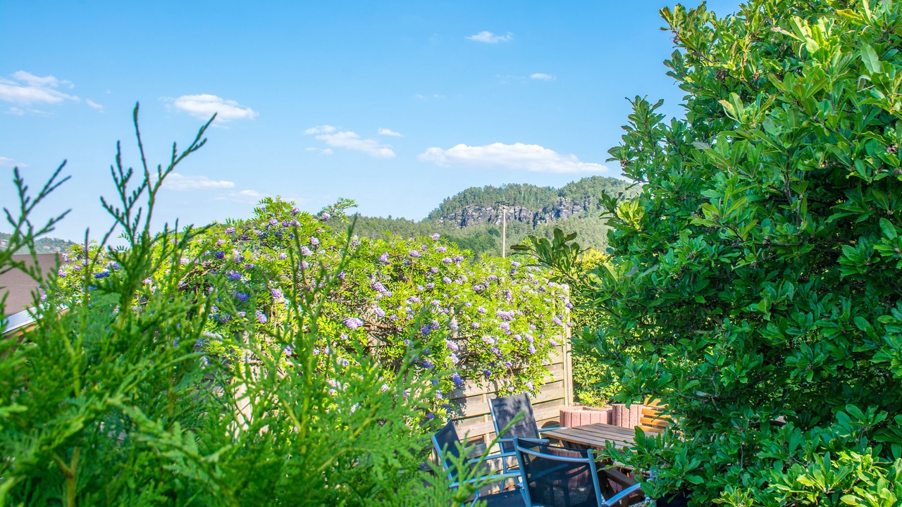 Photo of Outdoor in Struppen