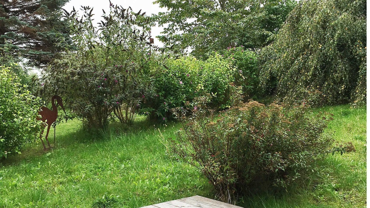 Photo of Outdoor in Mahlzow