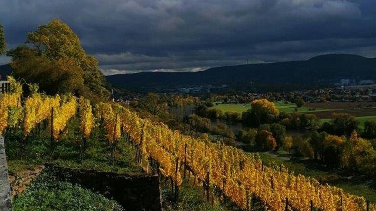 Photo of Others in Grossheubach