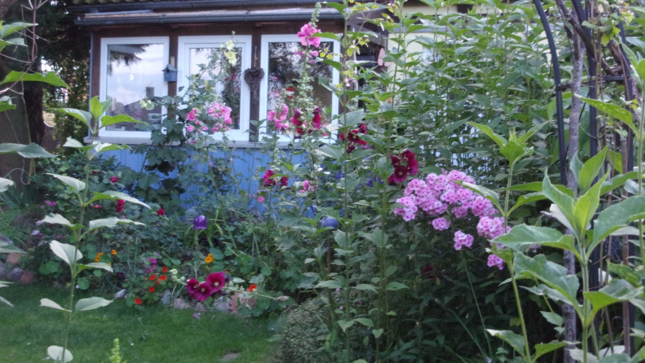 Photo of Outdoor in Kirchdorf