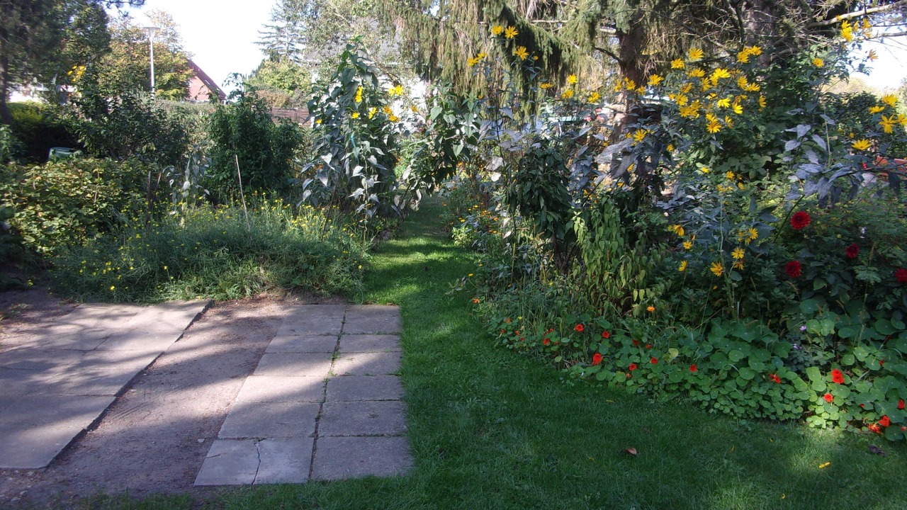 Photo of Outdoor in Kirchdorf
