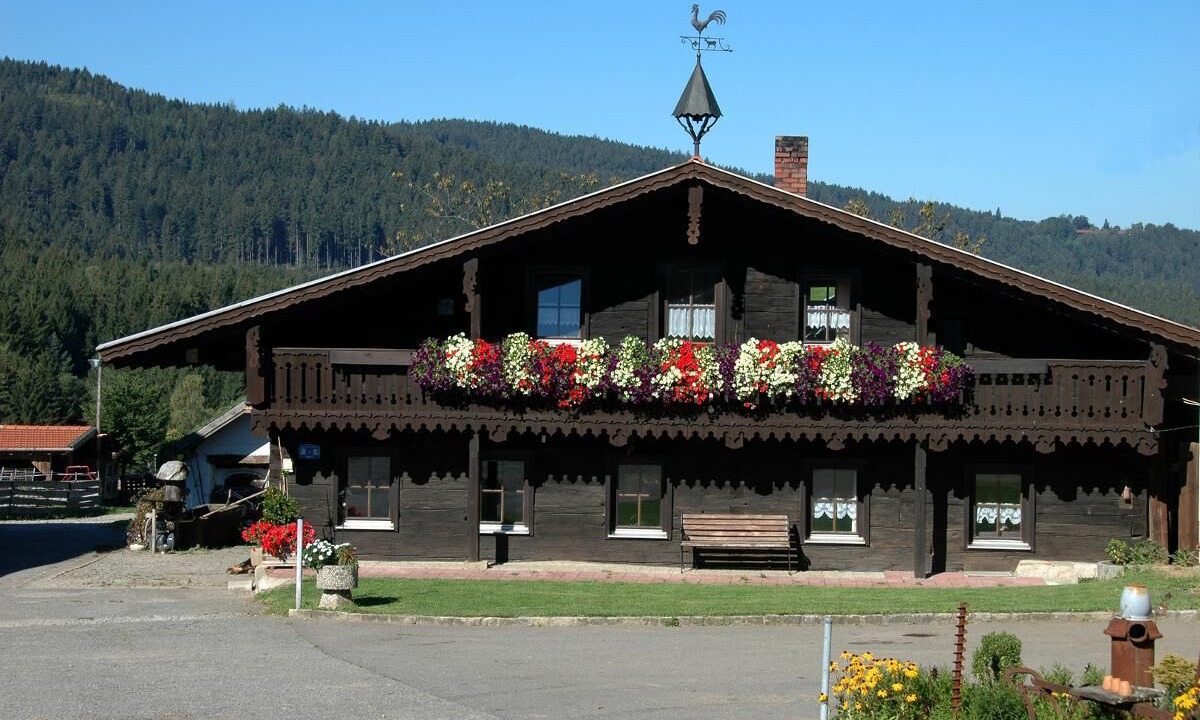 Photo of Outdoor in Mais