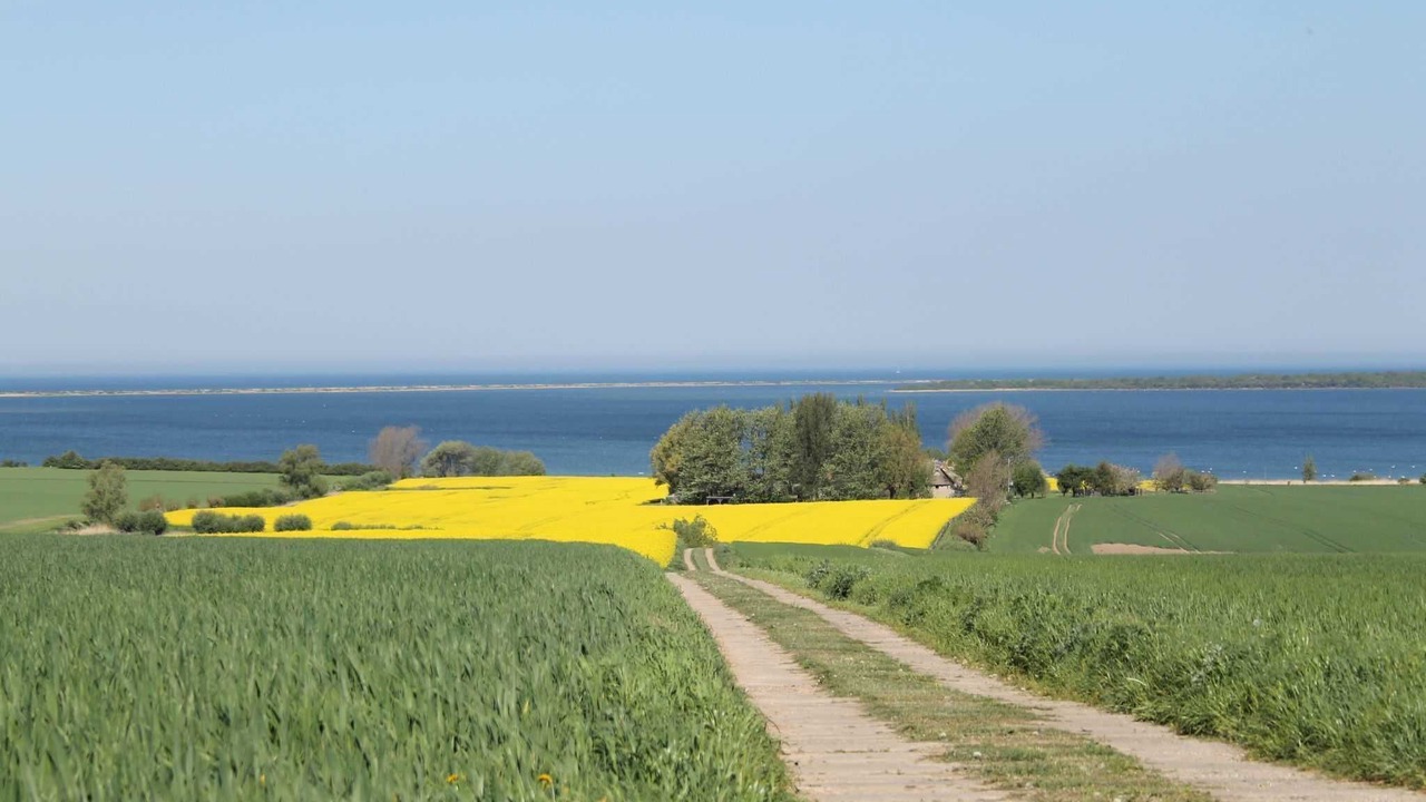 Photo of Others in Pepelow