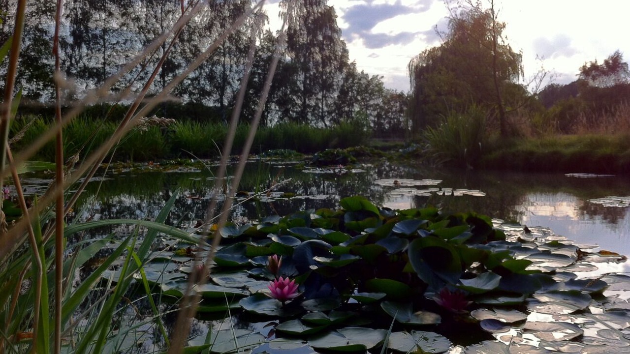 Photo of Outdoor in Bad Bentheim