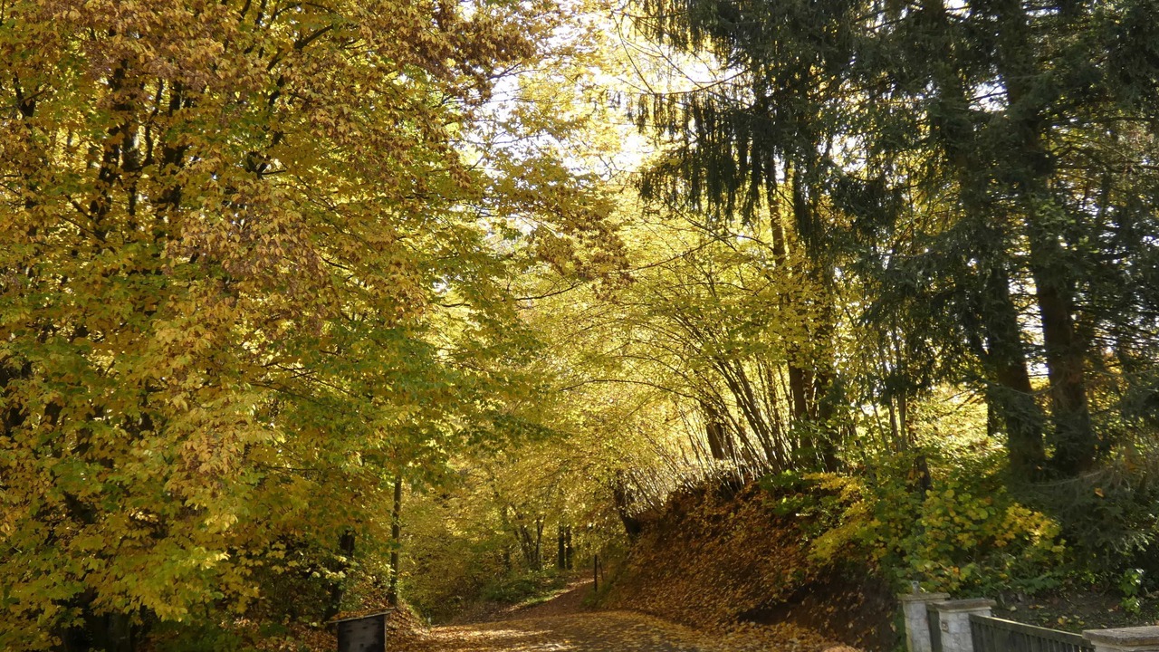 Photo of Outdoor in Goessweinstein