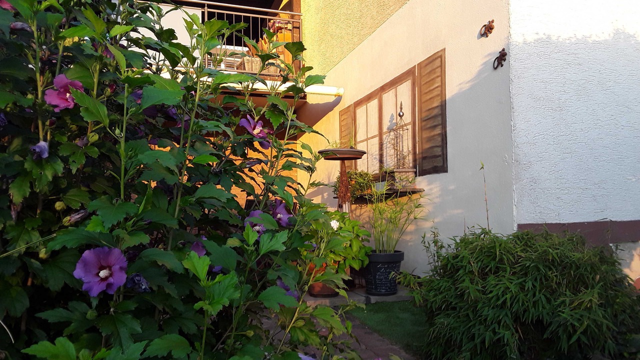 Photo of Outdoor in Momlingen