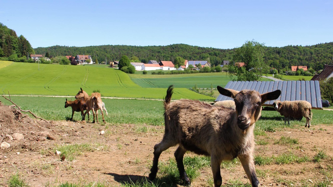 Photo of Others in Betzenstein