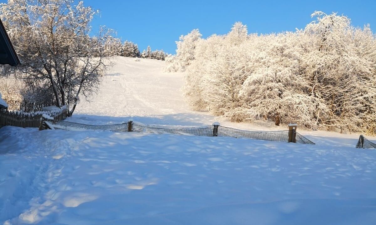 Photo of Outdoor in Peiting