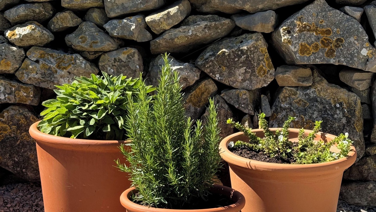 Photo of Outdoor in Cati