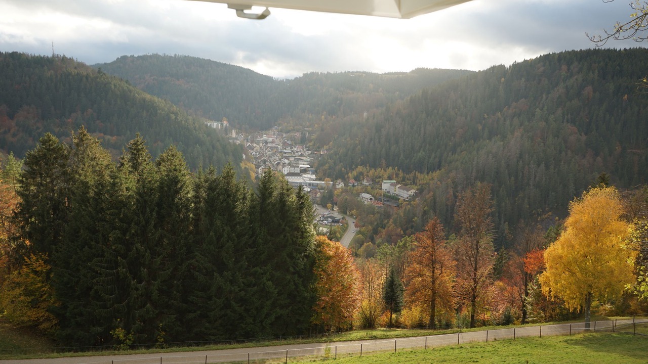 Photo of Others in Triberg im Schwarzwald