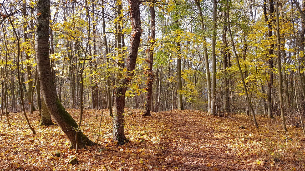 Photo of Outdoor in Rottbach