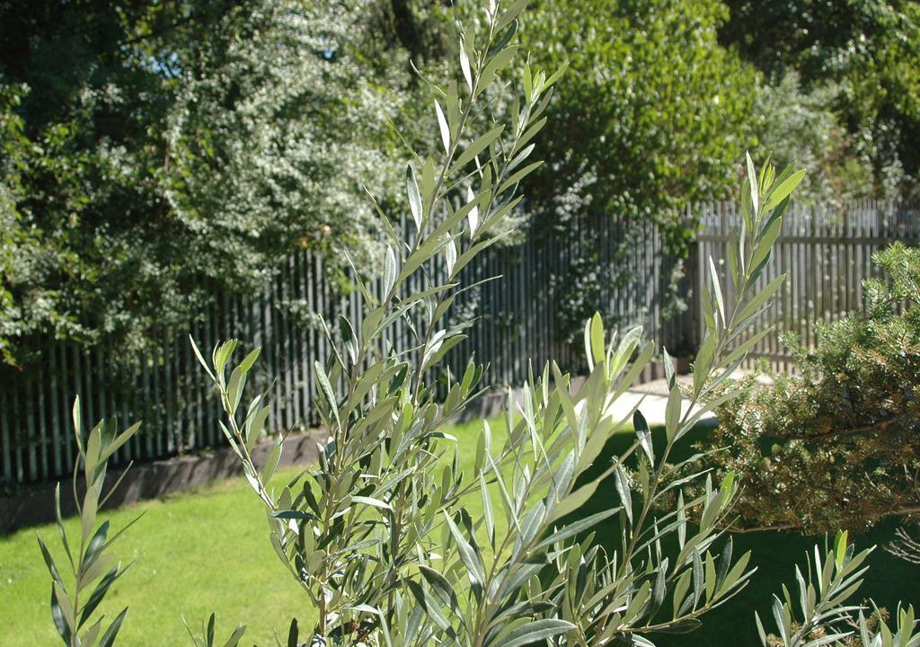Photo of Outdoor in Langwasser Sudwest