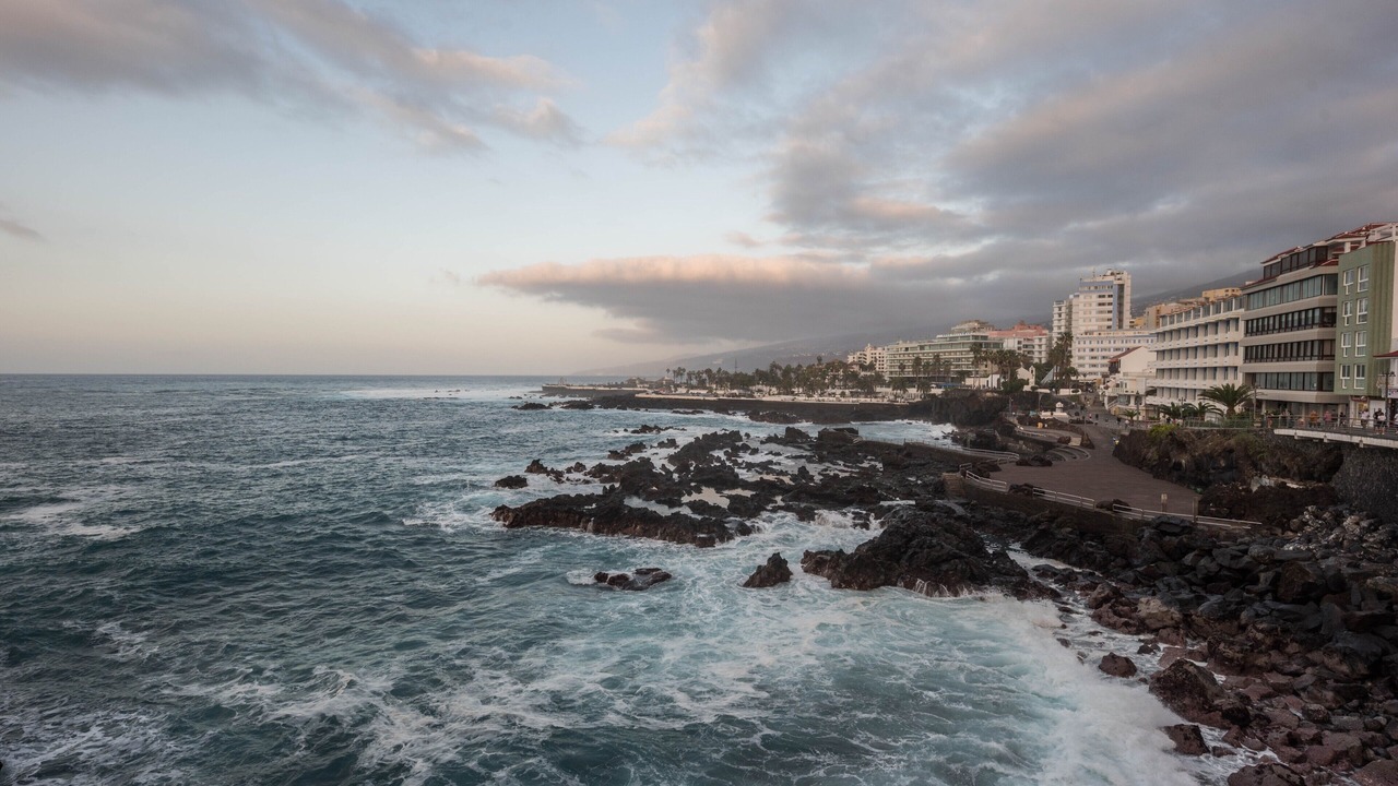 Photo of Others in Puerto de la Cruz