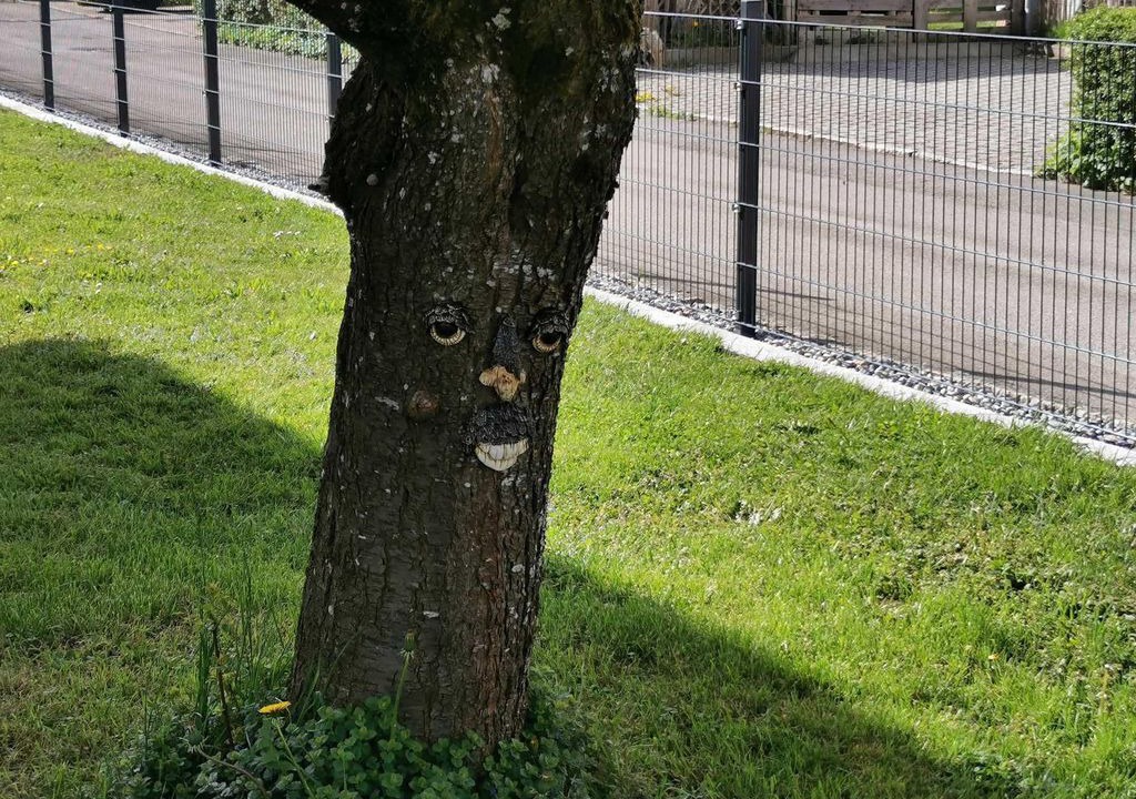 Photo of Outdoor in Wangen im Allgaeu