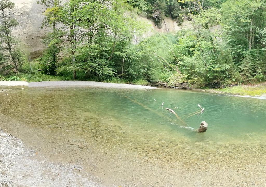 Photo of Others in Wangen im Allgaeu